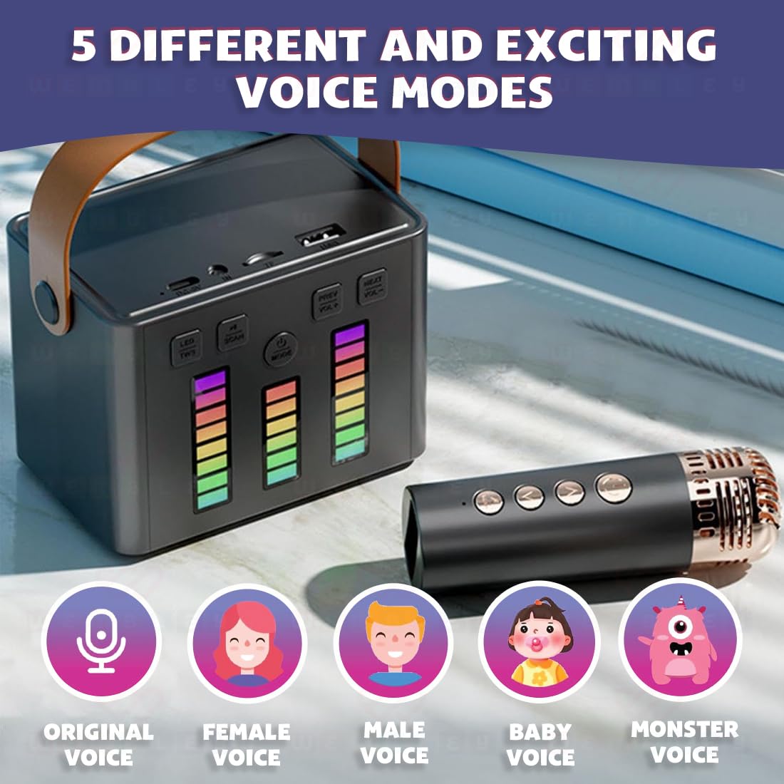 Wireless Karaoke Set with Mic & Speaker (DJ Box)