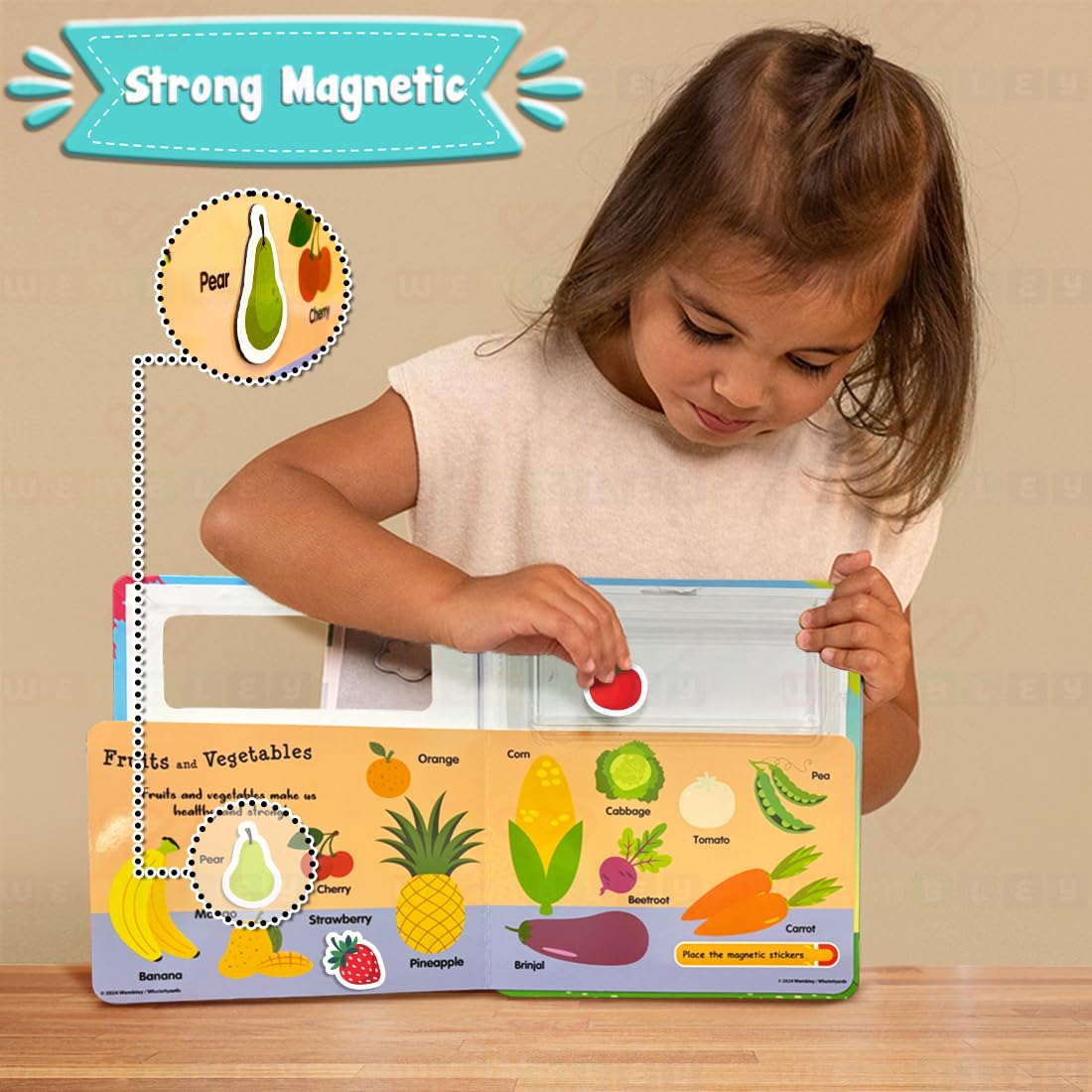 My First Words Magnetic Playbook Set (Words)