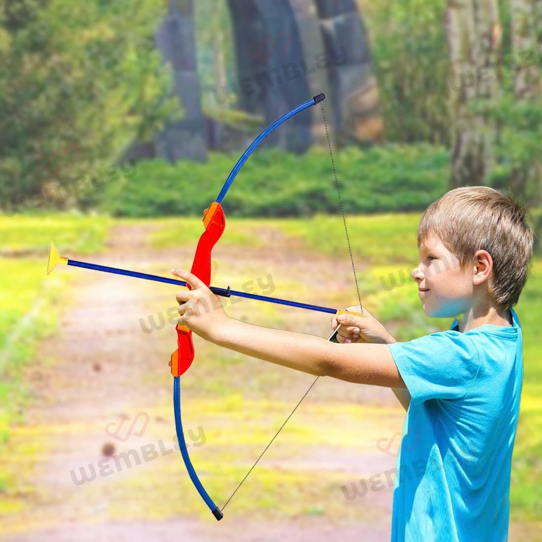 Bow and Arrow Archery Set