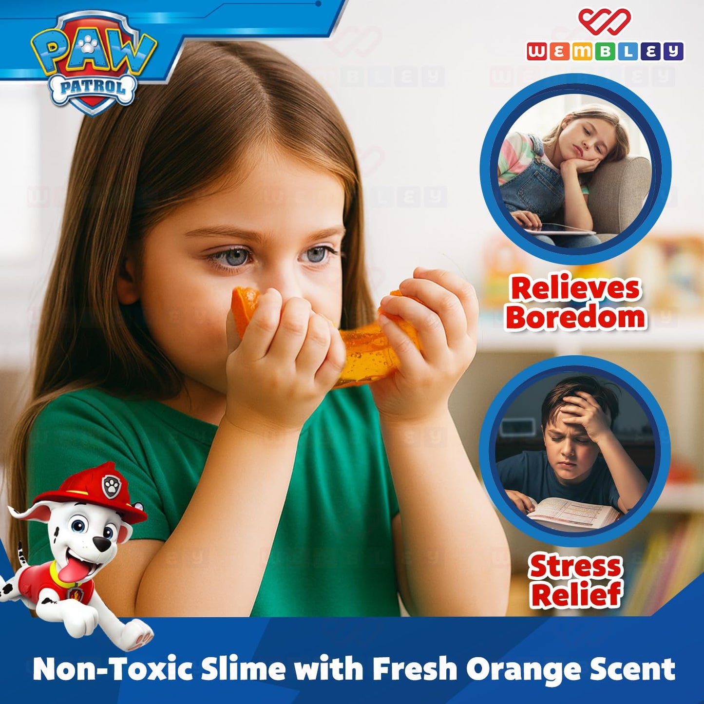 Paw Patrol-Themed Non-Toxic DIY Slime Making Kit