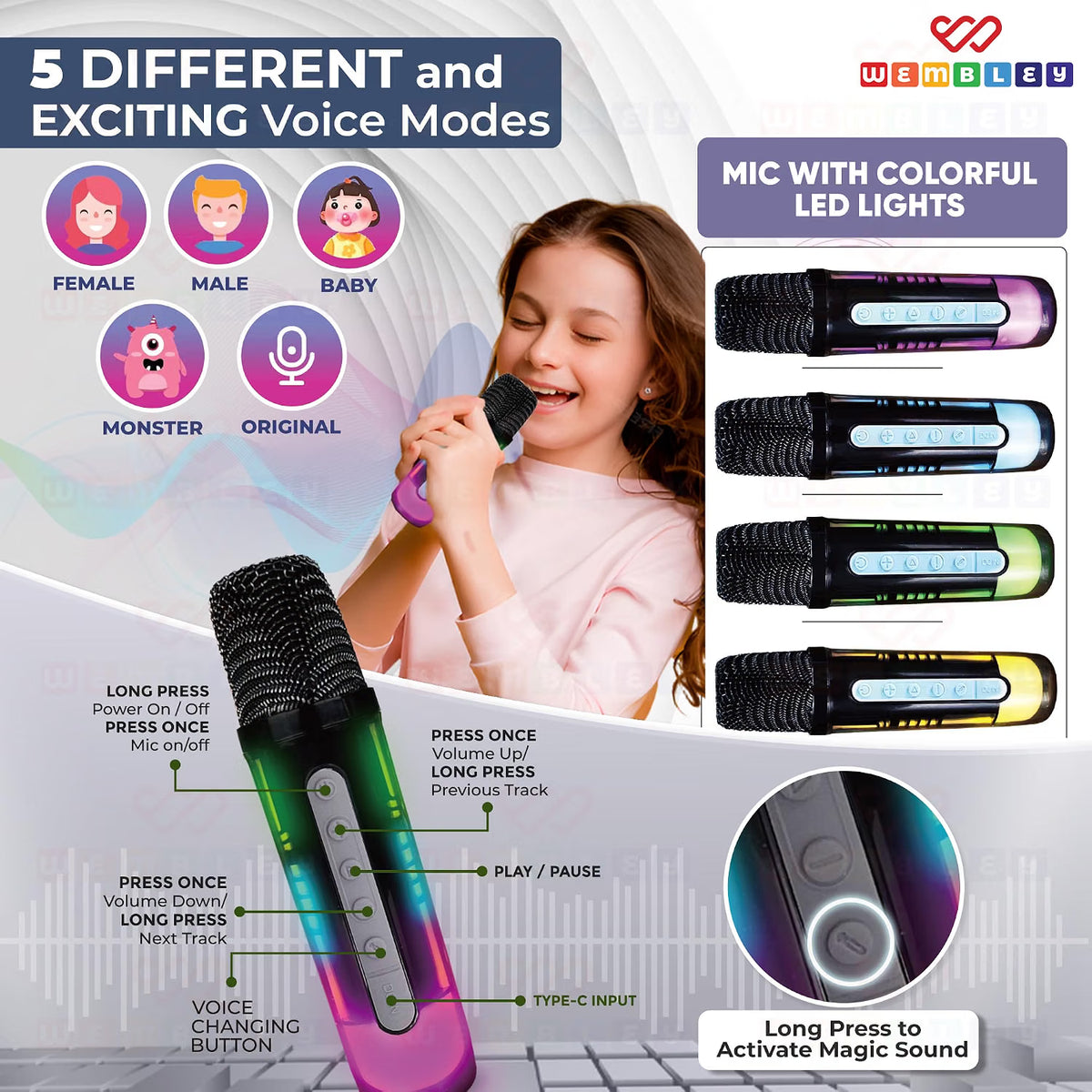 Karaoke Speaker with Phone Holder and 2 Wireless Microphones