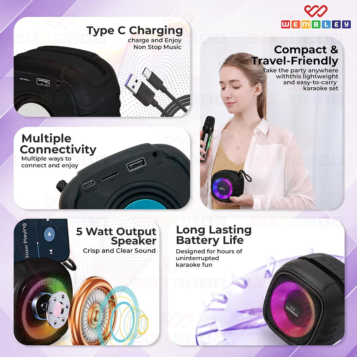 Karaoke Speaker with Phone Holder and 2 Wireless Microphones
