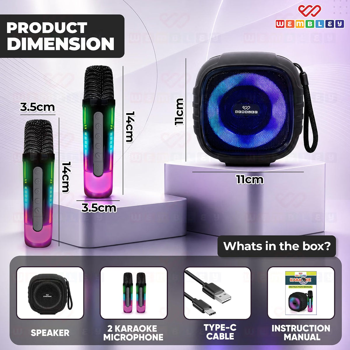 Karaoke Speaker with Phone Holder and 2 Wireless Microphones